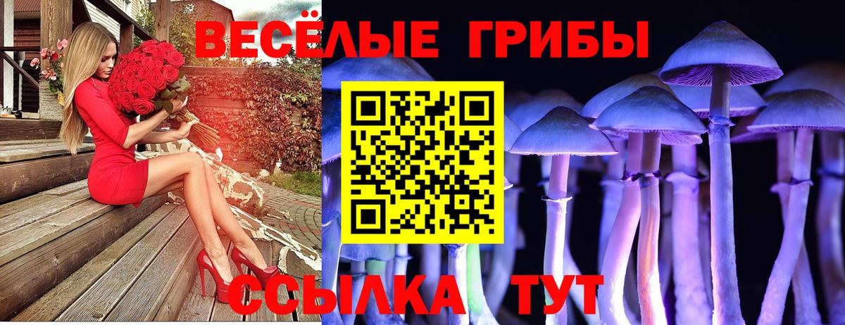 Псилоцибиновые грибы мухоморы Отрадный