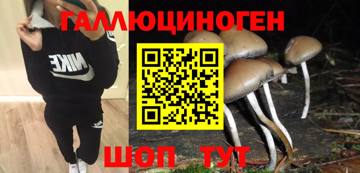 Галлюциногенные грибы прущие грибы  Вход с VPN  Отрадный 